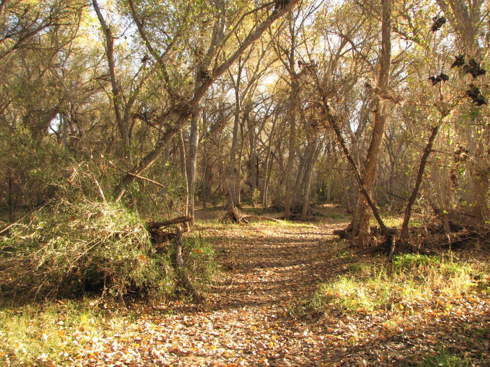 Tumacácori , Anza National Historic Trail
